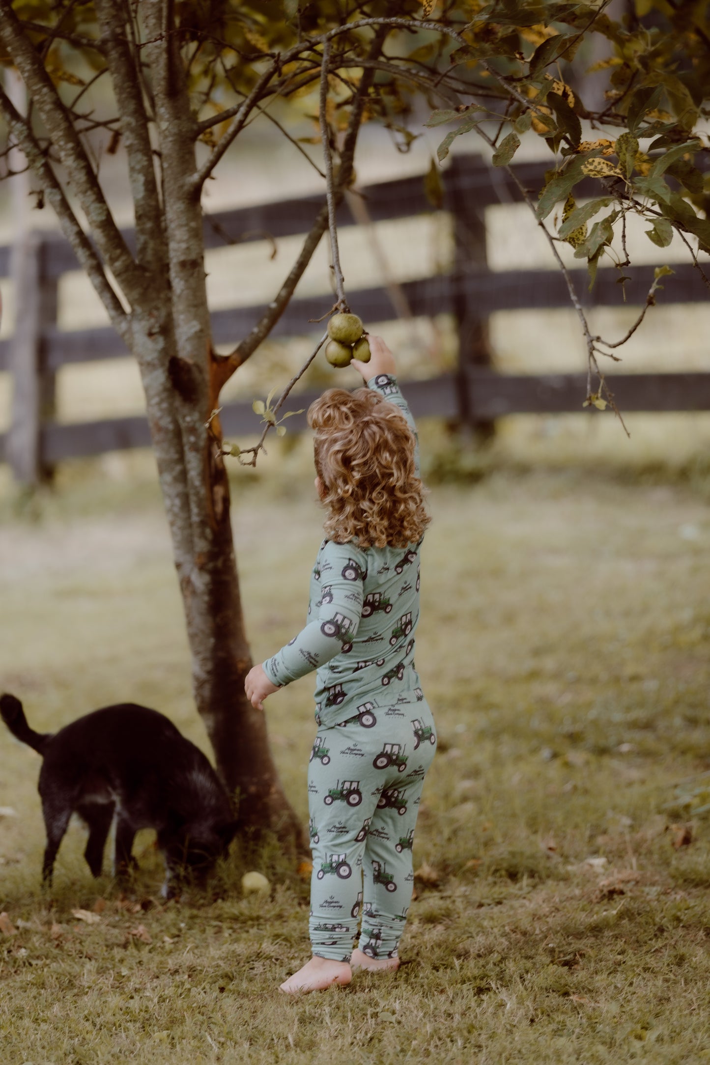 Bamboo Tractor Pajamas